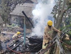 Lalai Awasi Api, Tumpukan Kayu Bakar di Mojo Terbakar, Damkar Bergerak Cepat