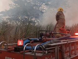 Api Lahap 5 Hektare Lahan Tebu di Ngancar, Damkar Kabupaten Kediri Gerak Cepat Selamatkan 5,2 Hektare