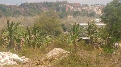 Img 20260915 Wa0014