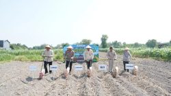 Hari Tani Nasional, Pemkab-Polres dan Petani Kediri Genjot Produksi Jagung