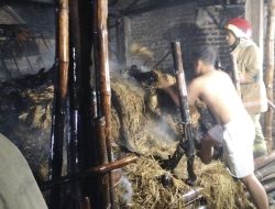Kebakaran Kandang Sapi di Tarokan, Satu Orang Luka Bakar